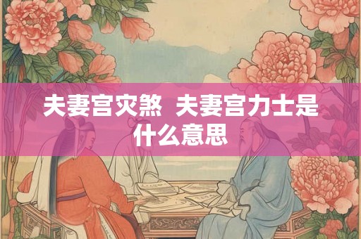 夫妻宫灾煞 夫妻宫力士是什么意思 夫妻宫灾煞 夫妻宫力士是什么意思