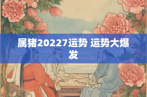 属猪20227运势 运势大爆发