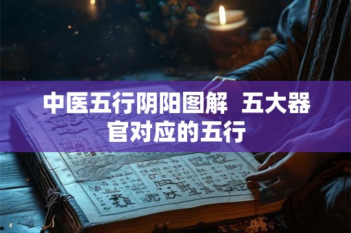 中医五行阴阳图解  五大器官对应的五行