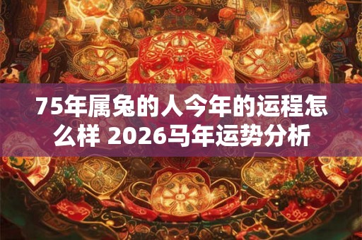 75年属兔的人今年的运程怎么样 2026马年运势分析