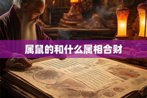 属鼠的和什么属相合财