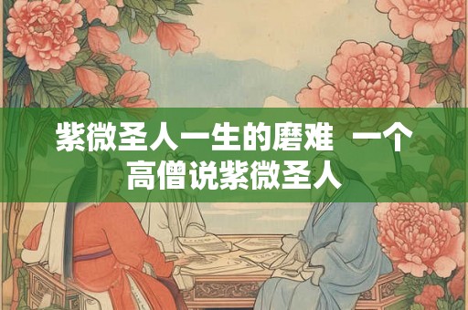 紫微圣人一生的磨难  一个高僧说紫微圣人