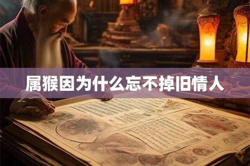 属猴因为什么忘不掉旧情人