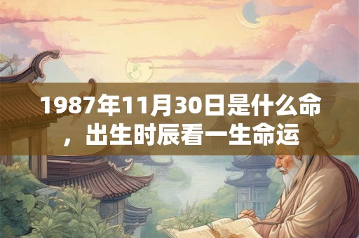 1987年11月30日是什么命，出生时辰看一生命运