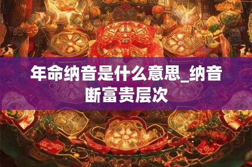 年命纳音是什么意思_纳音断富贵层次