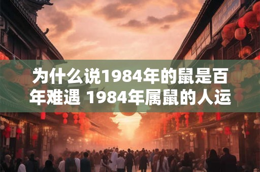 为什么说1984年的鼠是百年难遇 1984年属鼠的人运气怎么样 为什么说1984年的鼠是百年难遇 1984年属鼠的人运气怎么样