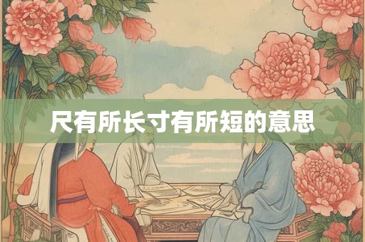 尺有所长寸有所短的意思