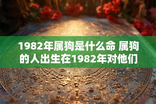 1982年属狗是什么命 属狗的人出生在1982年对他们的命运有什么影响