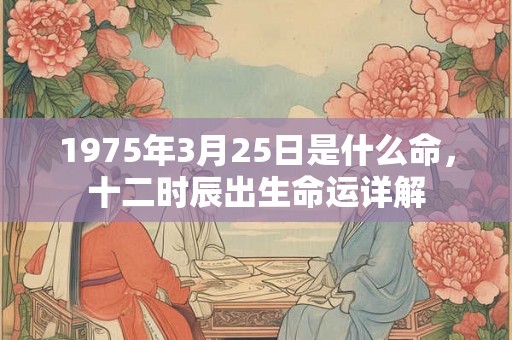 1975年3月25日是什么命，十二时辰出生命运详解