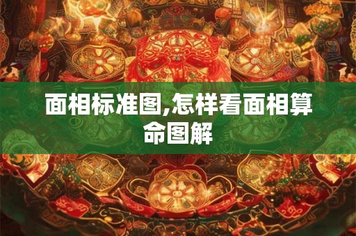 面相标准图,怎样看面相算命图解