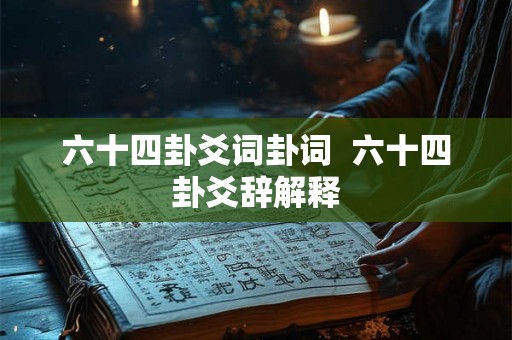 六十四卦爻词卦词  六十四卦爻辞解释
