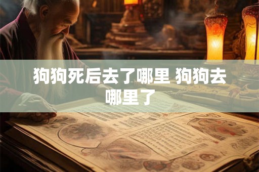 狗狗死后去了哪里 狗狗去哪里了