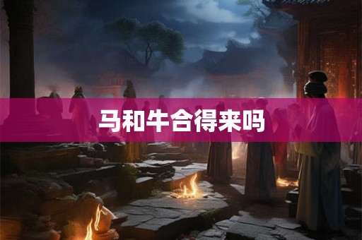 马和牛合得来吗