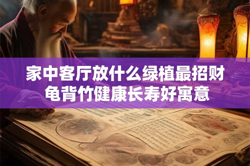 家中客厅放什么绿植最招财 龟背竹健康长寿好寓意