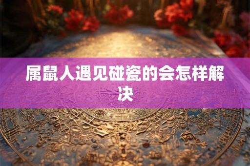 属鼠人遇见碰瓷的会怎样解决