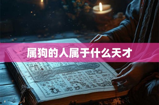 属狗的人属于什么天才