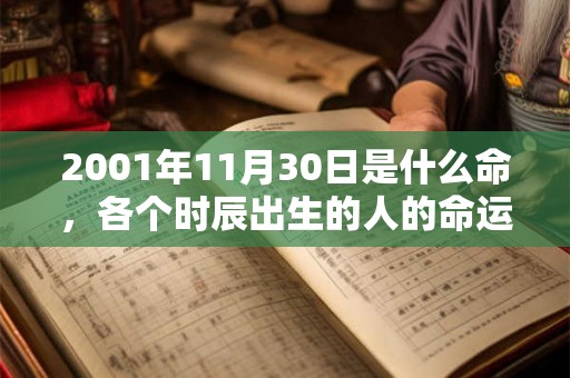 2001年11月30日是什么命，各个时辰出生的人的命运