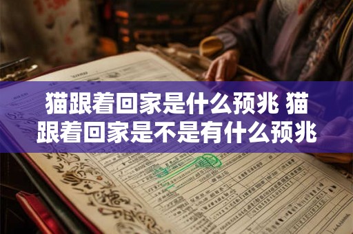 猫跟着回家是什么预兆 猫跟着回家是不是有什么预兆