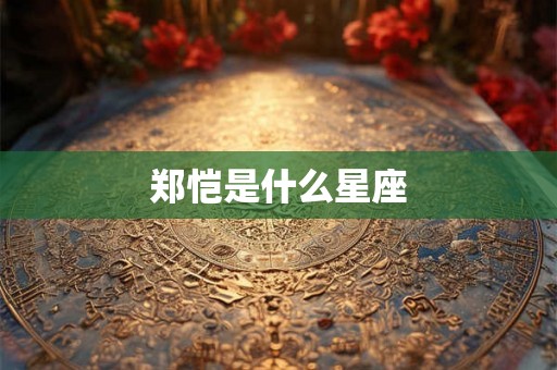 郑恺是什么星座