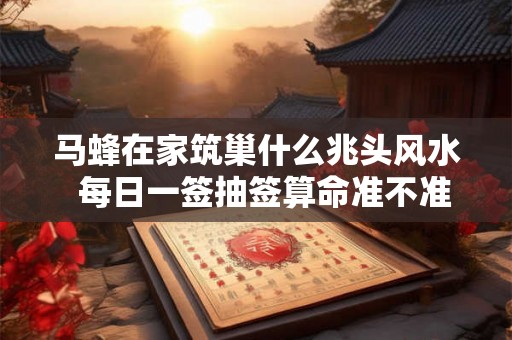 马蜂在家筑巢什么兆头风水 每日一签抽签算命准不准 马蜂在家筑巢什么兆头风水 每日一签抽签算命准不准