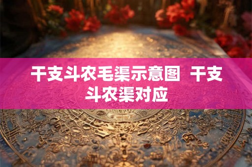 干支斗农毛渠示意图  干支斗农渠对应