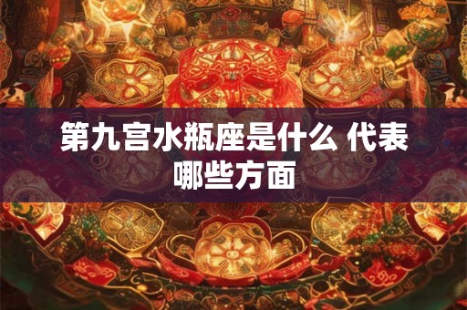 第九宫水瓶座是什么 代表哪些方面