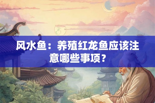 风水鱼：养殖红龙鱼应该注意哪些事项？