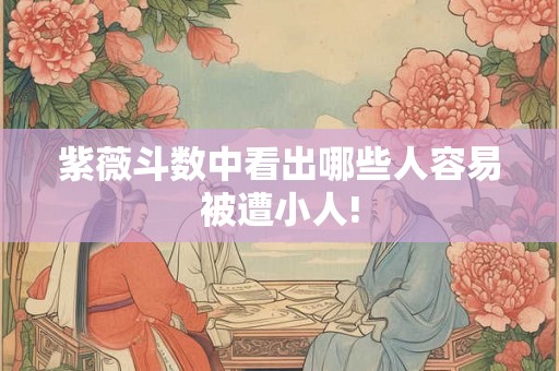 紫薇斗数中看出哪些人容易被遭小人!