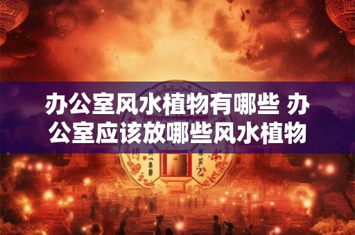办公室风水植物有哪些 办公室应该放哪些风水植物 办公室风水植物有哪些 办公室应该放哪些风水植物