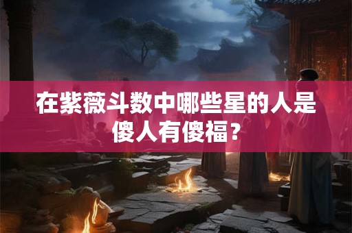 在紫薇斗数中哪些星的人是傻人有傻福？