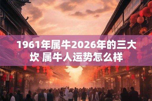 1961年属牛2026年的三大坎 属牛人运势怎么样