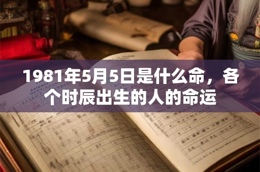 1981年5月5日是什么命,各个时辰出生的人的命运 1981年5月5日是什么命,各个时辰出生的人的命运