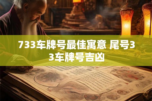733车牌号最佳寓意 尾号33车牌号吉凶