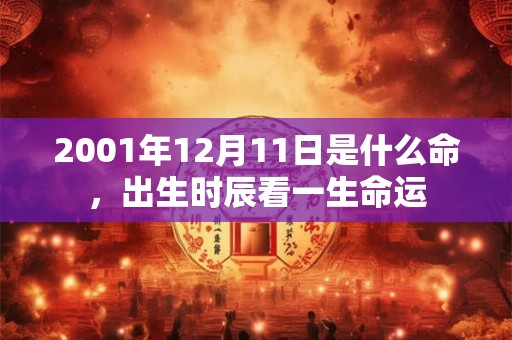 2001年12月11日是什么命,出生时辰看一生命运 2001年12月11日是什么命,出生时辰看一生命运