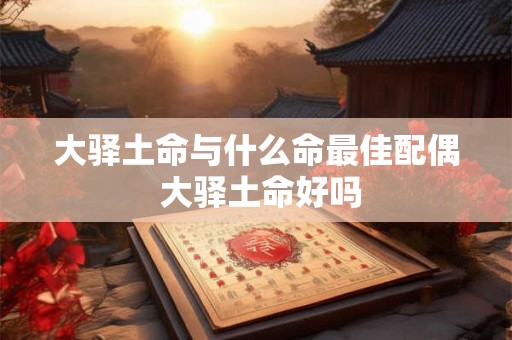 大驿土命与什么命最佳配偶 大驿土命好吗