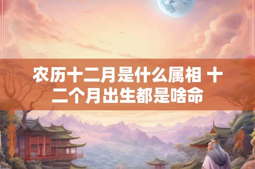农历十二月是什么属相 十二个月出生都是啥命
