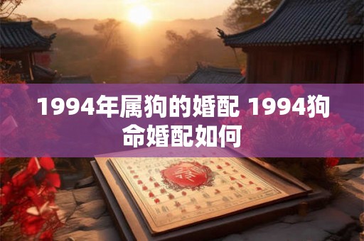 1994年属狗的婚配 1994狗命婚配如何