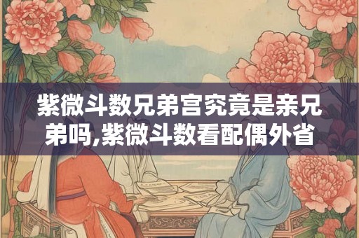 紫微斗数兄弟宫究竟是亲兄弟吗,紫微斗数看配偶外省人