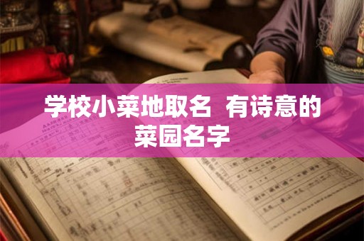 学校小菜地取名  有诗意的菜园名字
