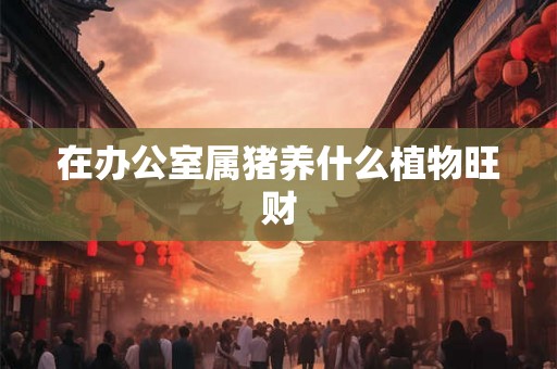 在办公室属猪养什么植物旺财