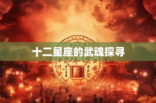 十二星座的武魂探寻