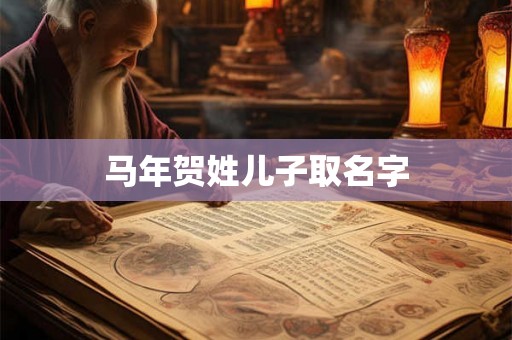 马年贺姓儿子取名字