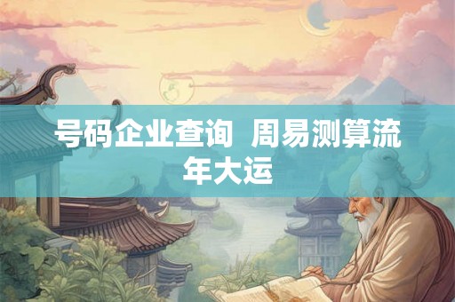 号码企业查询  周易测算流年大运