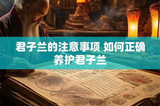 君子兰的注意事项 如何正确养护君子兰