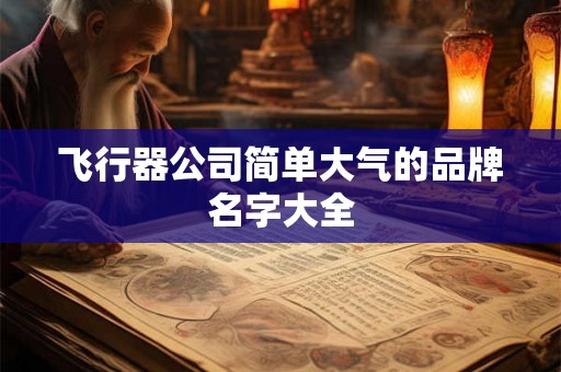 飞行器公司简单大气的品牌名字大全