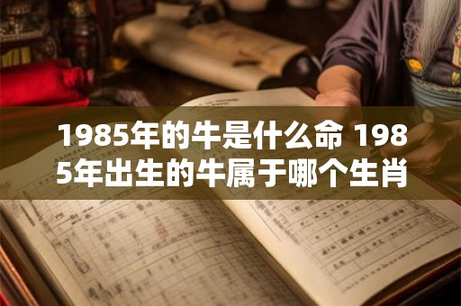1985年的牛是什么命 1985年出生的牛属于哪个生肖
