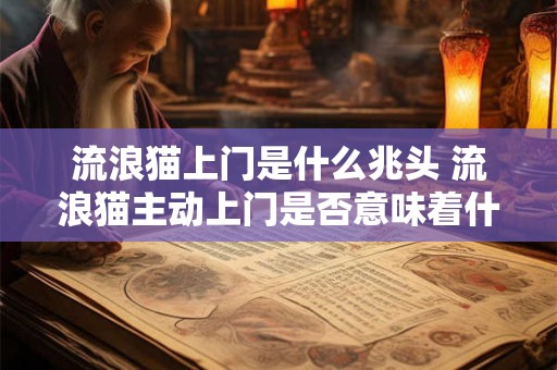 流浪猫上门是什么兆头 流浪猫主动上门是否意味着什么