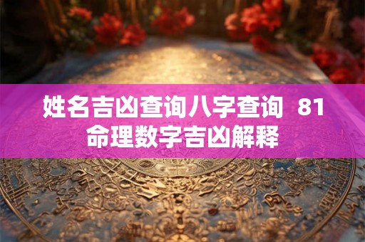 姓名吉凶查询八字查询  81命理数字吉凶解释