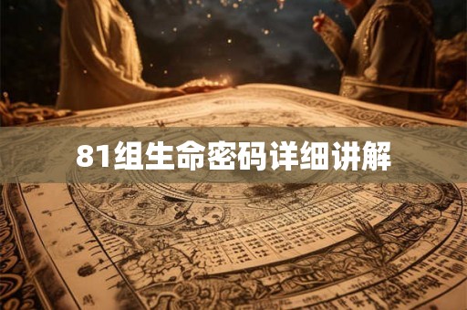 81组生命密码详细讲解