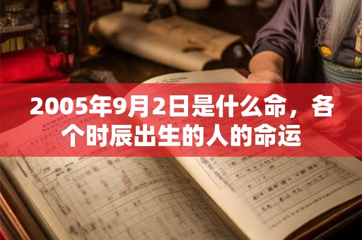 2005年9月2日是什么命，各个时辰出生的人的命运